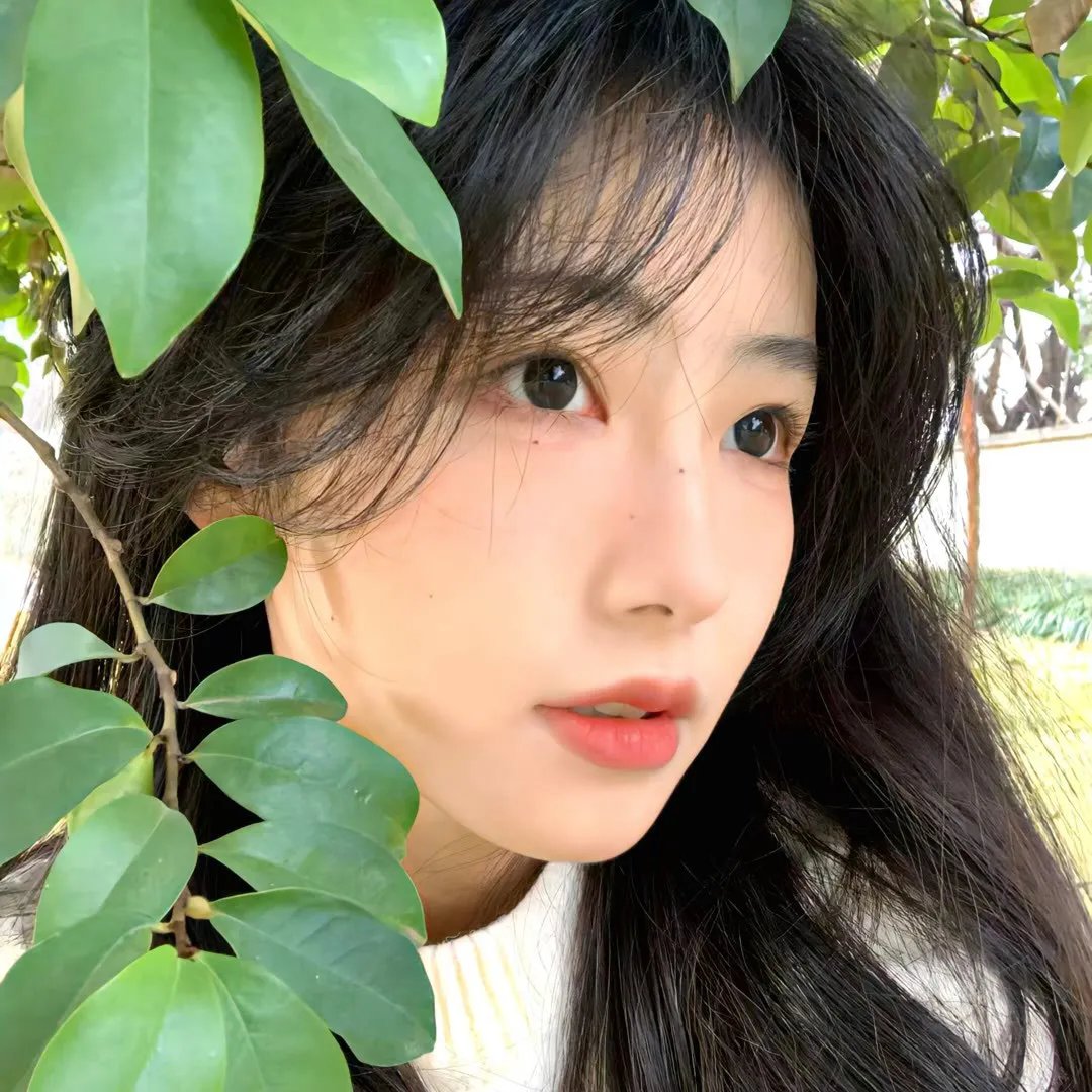 我自己的房间 封面